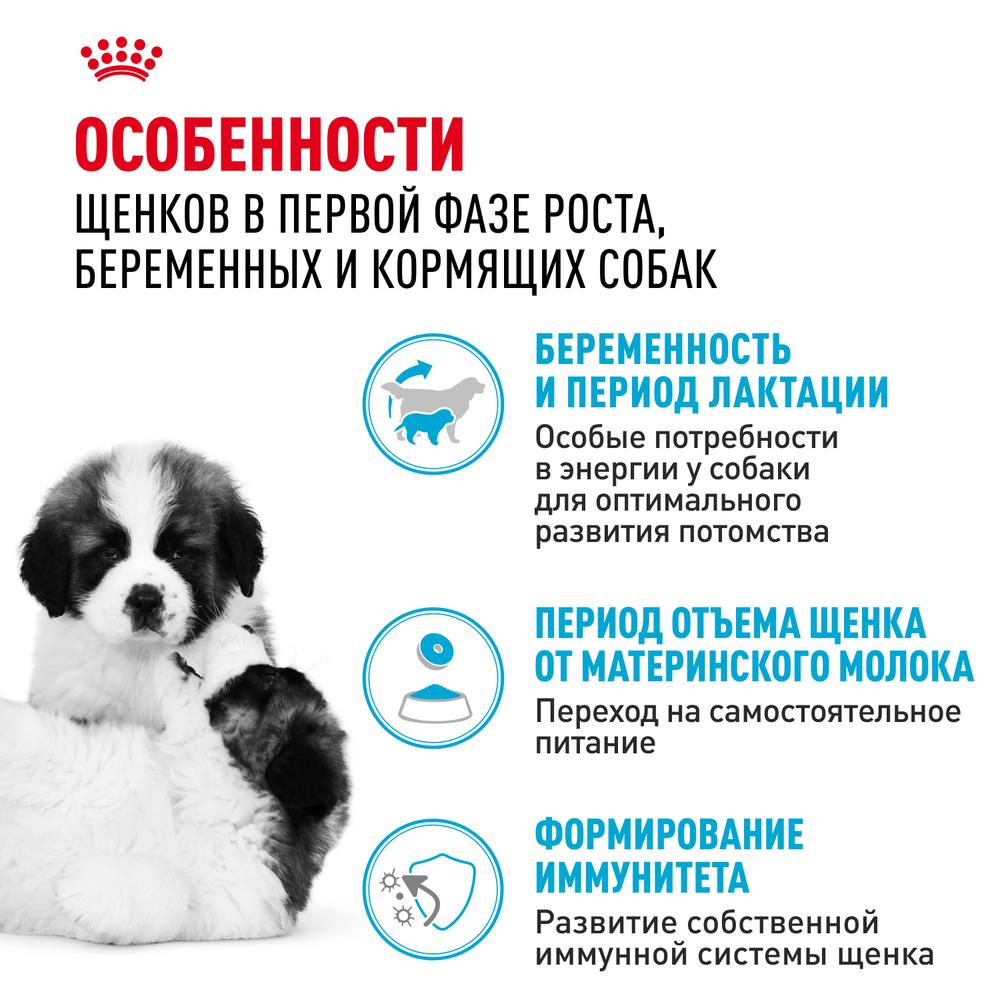Royal Canin Giant Starter Mother & Babydog Джайнт Стартер Мазе энд Бебидог Корм для щенков гигантских пород в период первой фазы и отъема 15кг