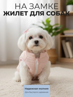 Жилет для собак