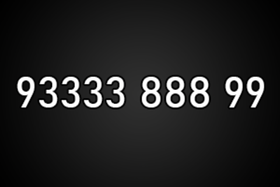 9333388899