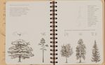 SketchBook. Продвинутые техники. Экспресс-курс рисования