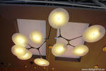 Lindsey-Adelman-Branching-Disk-9