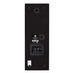 DLS Flatbox Slim Large V2 настенная акустическая система
