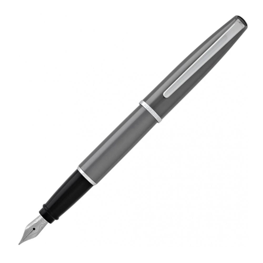 Перьевая ручка Aurora Style Metal Grey CT, перо - F, в подарочной коробке