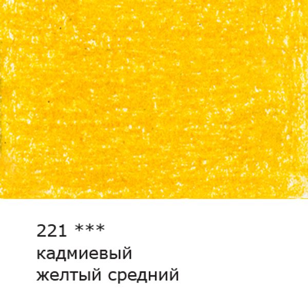 Карандаш цветной художественный заточенный, 6 шт, 221 Кадмиевый желтый средний (Cadmiun yellow medium), Vista-Artista Gallery VGCP