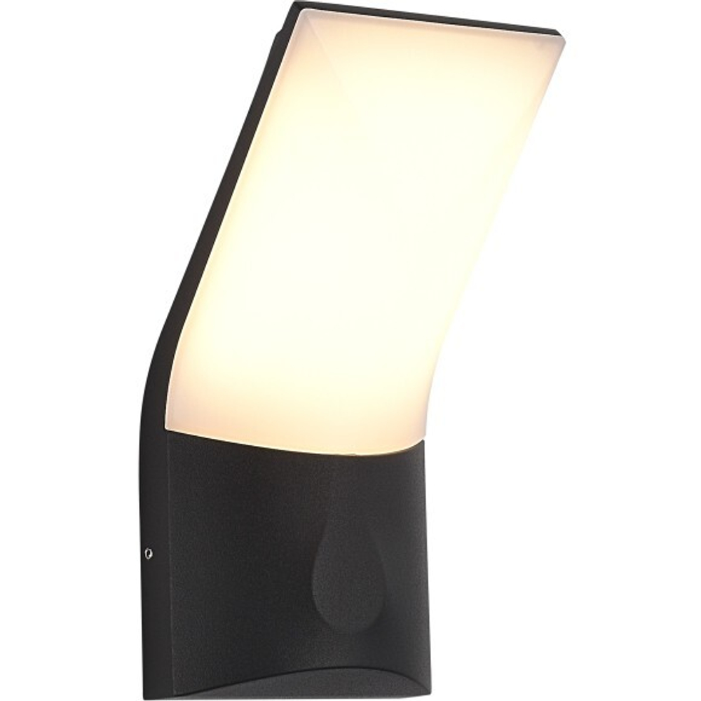 Уличный настенный светодиодный светильник ST Luce BRIGHT SL9543.701.01