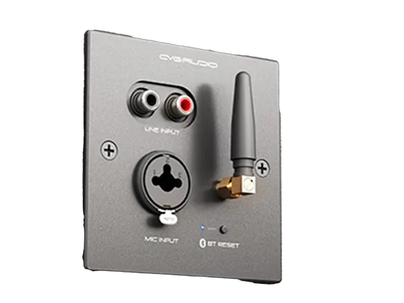 CVGAUDIO PW/EX-IN/BL