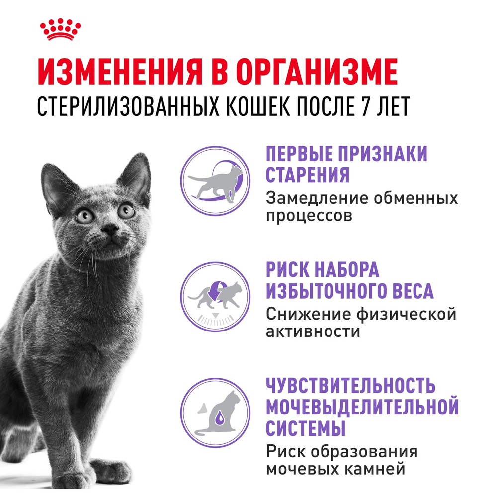 Royal Canin Sterilised 7+ Стерилайзд Корм сухой сбалансированный для стерилизованных кошек старше 7 лет 1,5кг