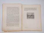 "История живописи от средних веков на наших дней". Р. Мутер. 1903г. - раритет