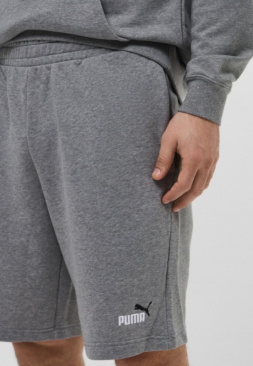 Шорты спортивные мужские PUMA ESS 2 COLOR No. 1 Logo Shorts 10" TR