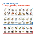 Природные богатства России (без робомыши, без системы хранения) Learning Resources MS0102