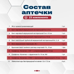 Аптечка  для  перевозки опасных грузов ФЭСТ сумка м.1186