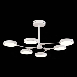 Светильник потолочный Evoluce Monta SLE6003-502-06