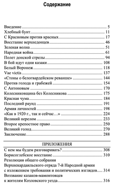 Битва за Воронеж: хроники крестьянского фронта. 1917-1933. Руслан Разин