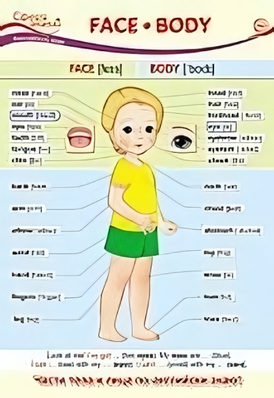 Плакат А3 Face. Body (Лицо. Тело)