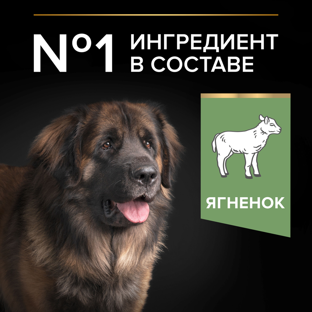 Сухой корм PRO PLAN SENSITIVE DIGESTION для собак крупных пород с мощным телосложением с чувствительным пищеварением ягненок 14 кг