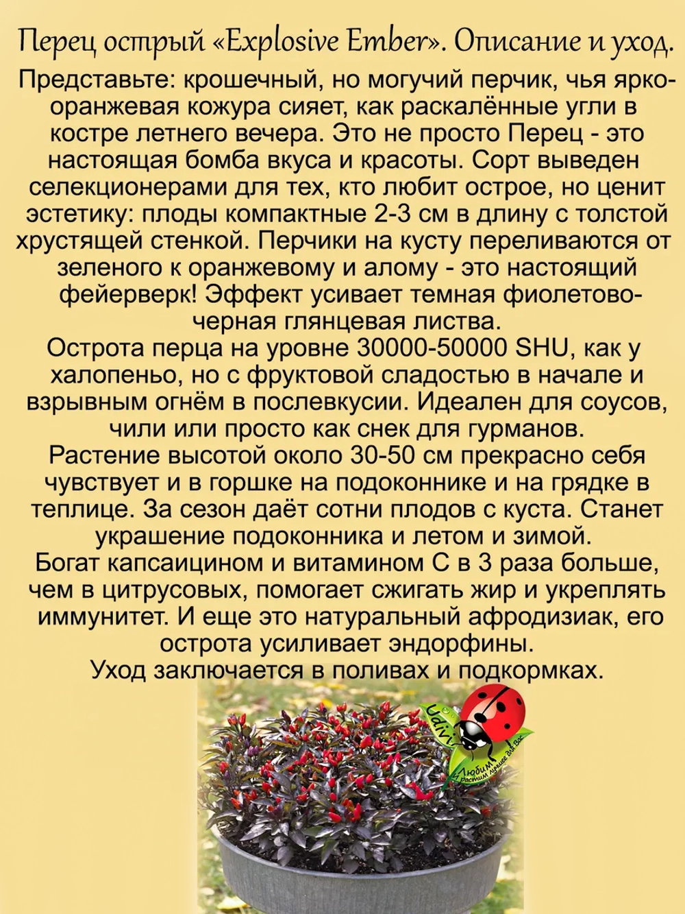 Перец Взрывоопасные угольки острый