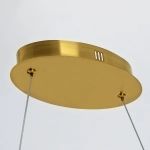 Подвесной светодиодный светильник Citilux SKATT CL213132