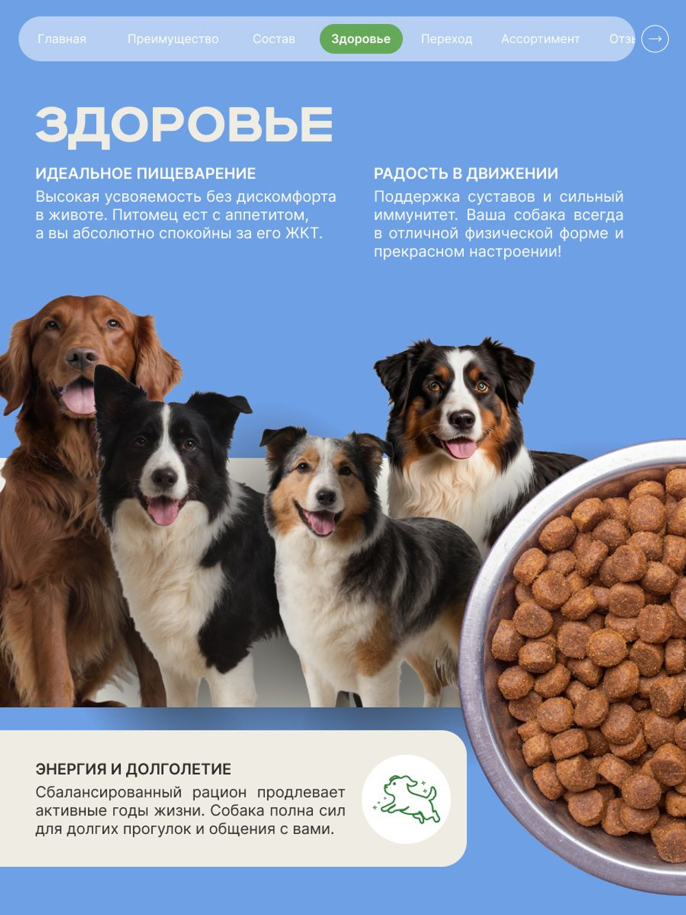 Корм сухой для взрослых собак породы Акита-ину, с ягненком, 2.5 кг, QUATTRO
