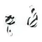 Apple AirPods Pro 2 USB-C Zebra