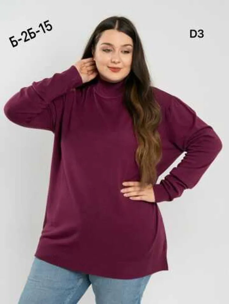 Водолазка 11268 (1736028764) Fabrika