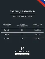 Носки мужские Pantelemone PN-102 (10 пар),серые