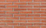 Кирпич клинкерный Plinfa Iron 2319, 270x85x50