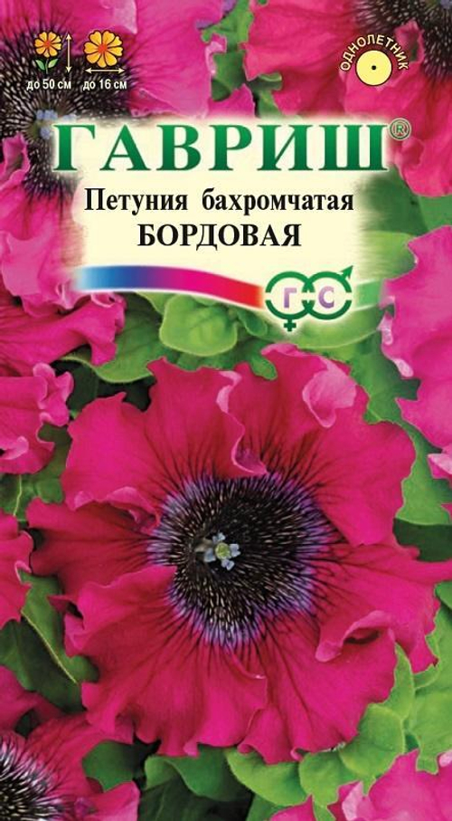 Петуния Бордовая бахромчатая 7шт пробирка Гавриш