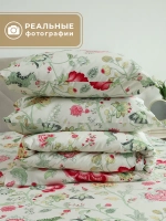 Постельное белье семейное хлопок 50x70 Гамбург