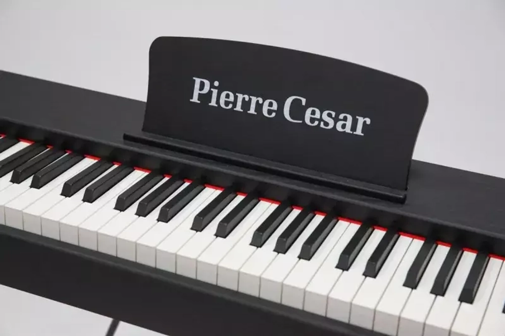 Pierre Cesar DP-121-H