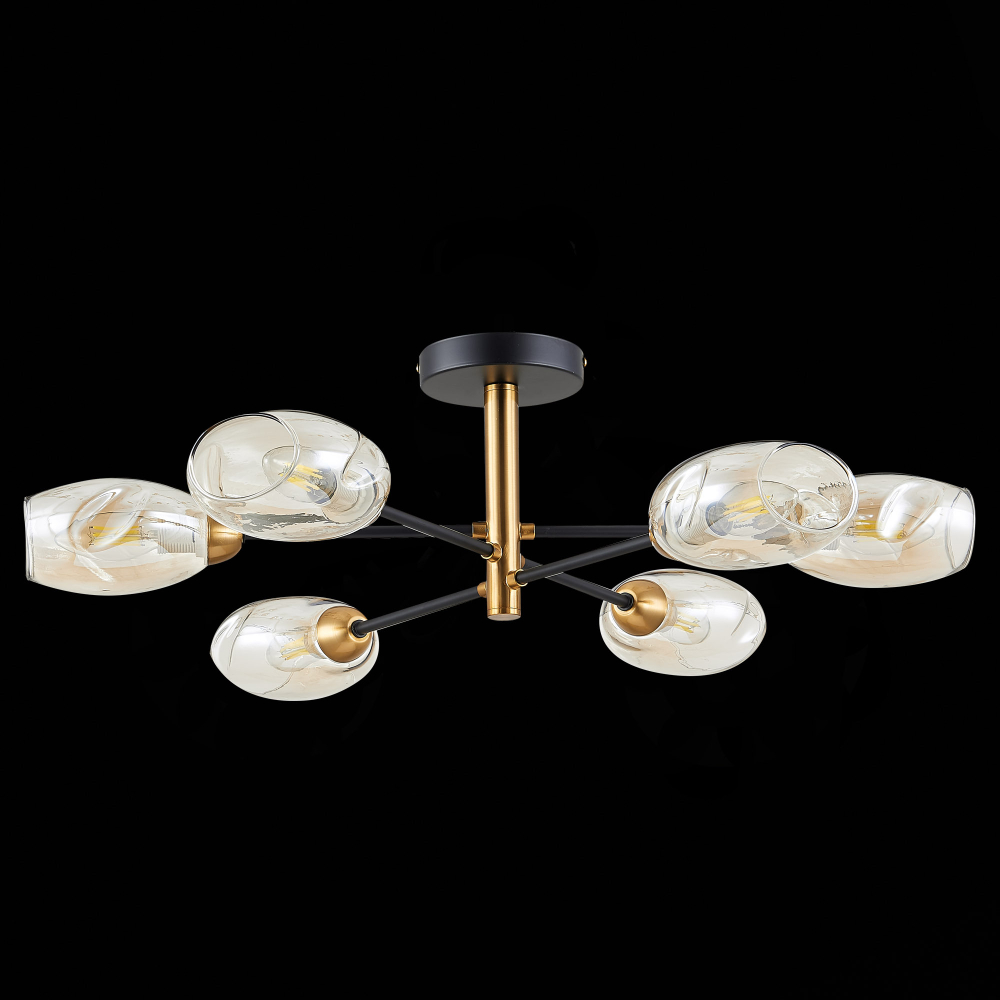 Светильник потолочный Evoluce Gloa SLE155502-06