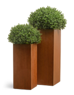 Кашпо TREEZ Effectory Corten Steel Высокий куб Бархатистая окись в-95 см 40х40 см 41.33-10-21-062-CS-95