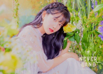 Альбом WJSN - Neverland 8th Mini Album 3 Version SET