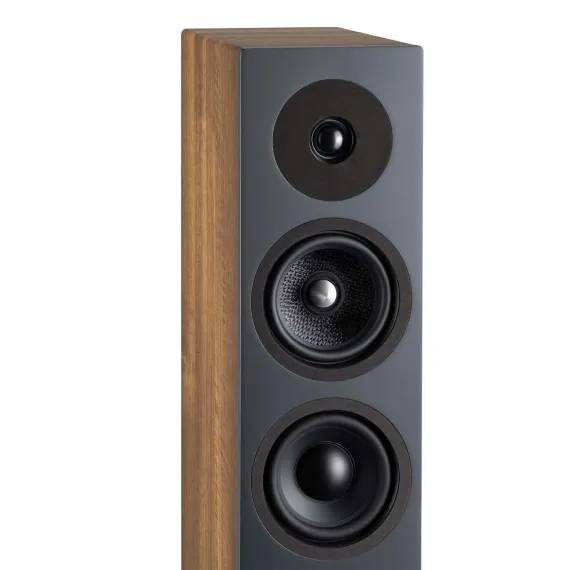 Davis Acoustics Krypton 6 Classik Walnut