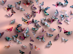 FARFALLE 3