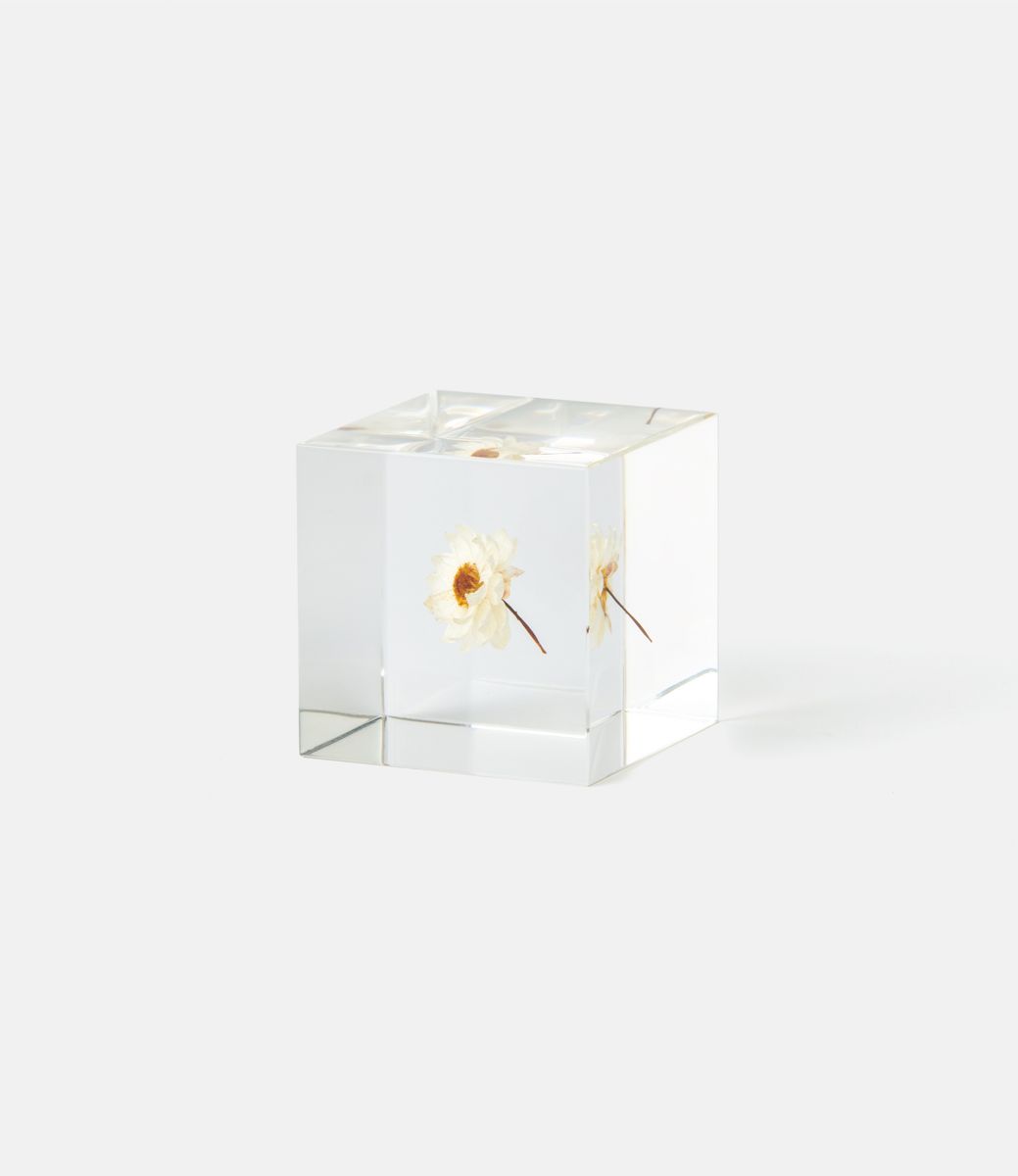 Sola Cube Chamomile Sunray — куб из акриловой смолы