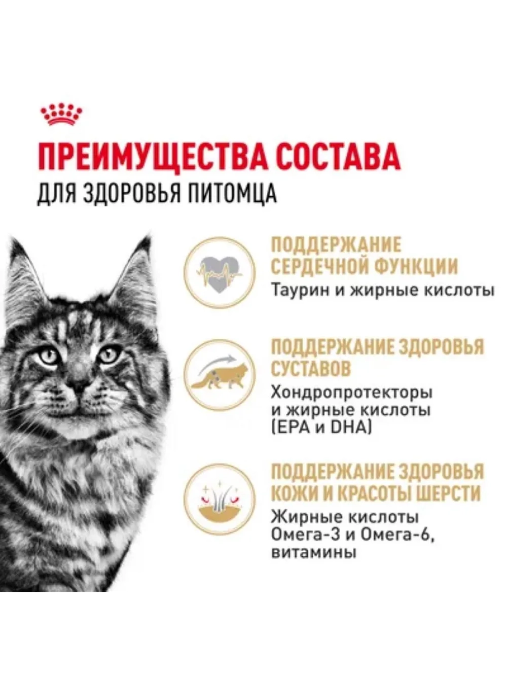 Maine Coon Adult Корм для кошек в соусе 85г*28шт