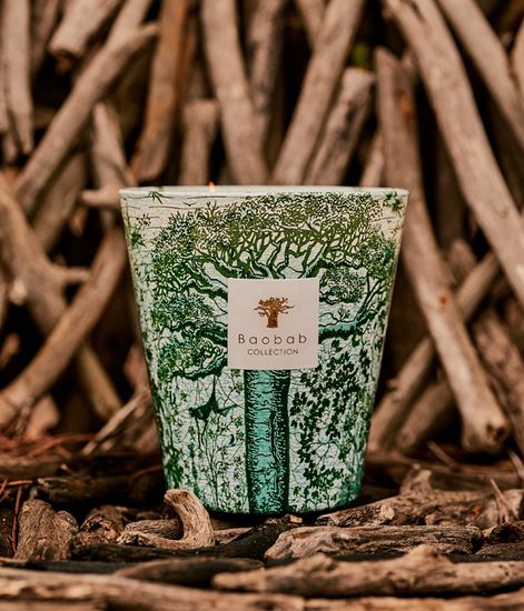 Kamalo, свеча MAX 10 Sacred Trees collection, Baobab Collection