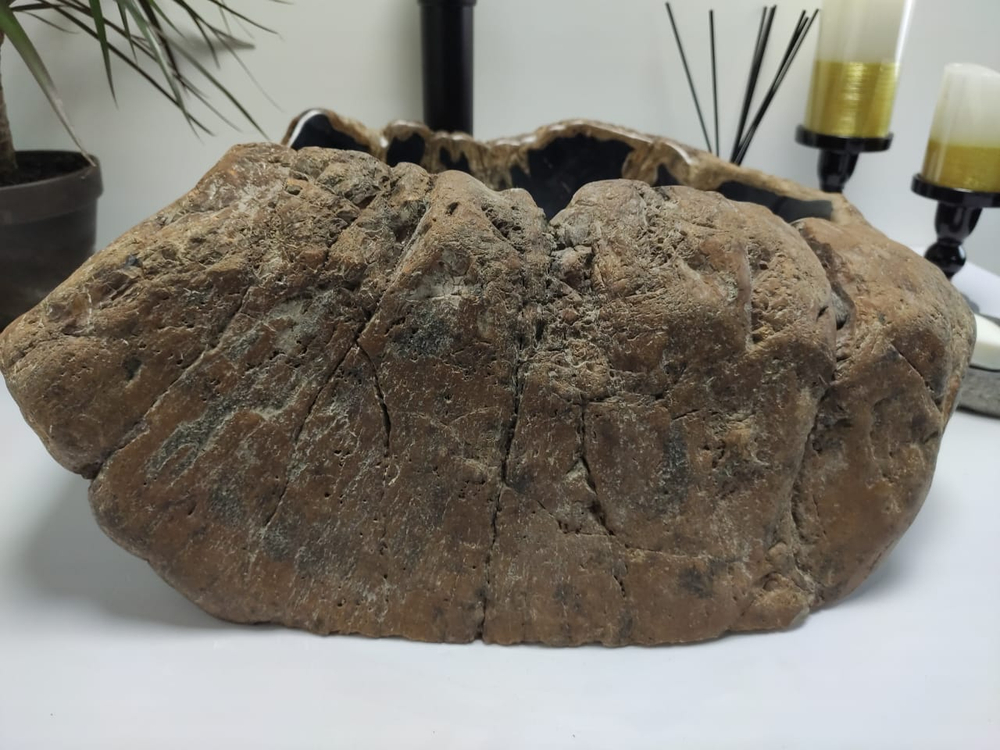 Раковина из окаменелого дерева FSB-7419 49x44x19 из натурального камня
