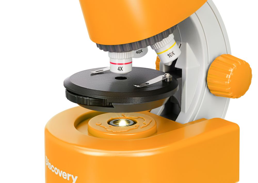 Микроскоп Levenhuk Discovery Micro с книгой, 77954