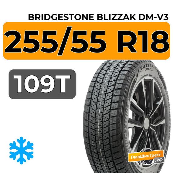 Bridgestone Blizzak DM-V3 255/55 R18 109T