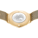 Наручные часы Bering  18440-334