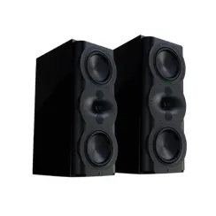 Perlisten Audio R5m Piano Black