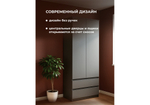 Шкаф Woodville Сибити двухстворчатый графит серый