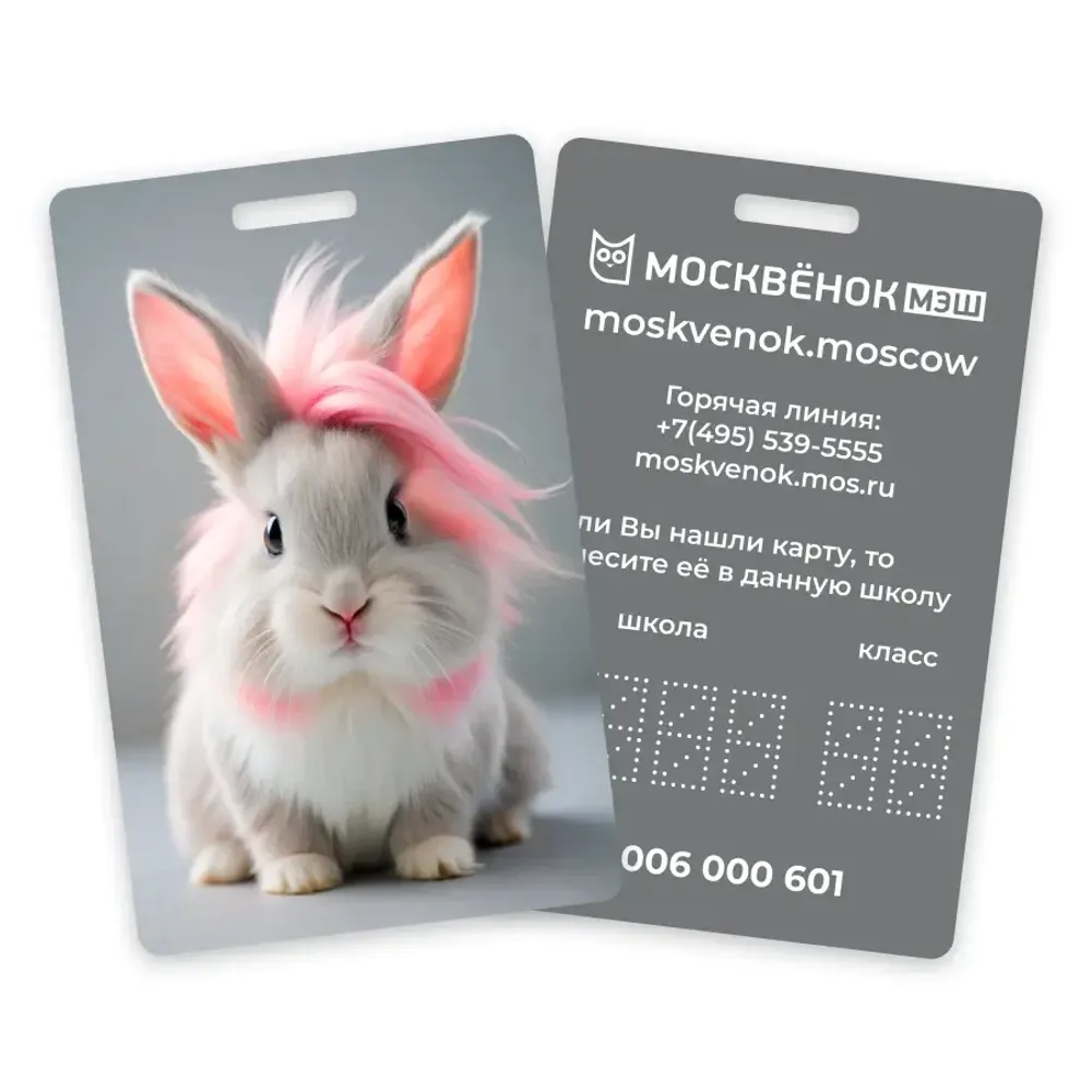 Карта Москвёнок BUNNY №8 (проход + питание)
