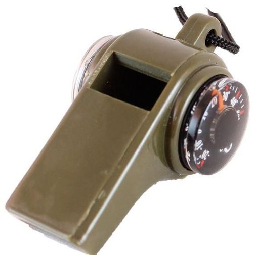 Компас термометр  PF-TCP-08
