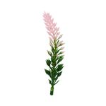Миниатюра кукольная: Веточки полиэтилен 24 шт, 8, Blumentag GPT-06