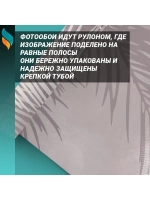 Фотообои на стену Пальмовые листья 300х270см