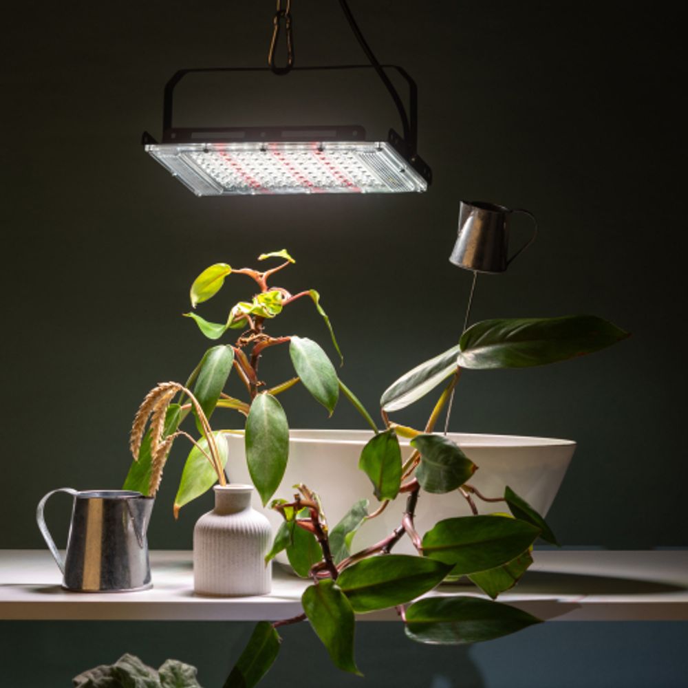 Фитопрожектор для растений светодиодный ЭРА FITO-80W-Ra90-LED-Y полного спектра | Фито прожекторы