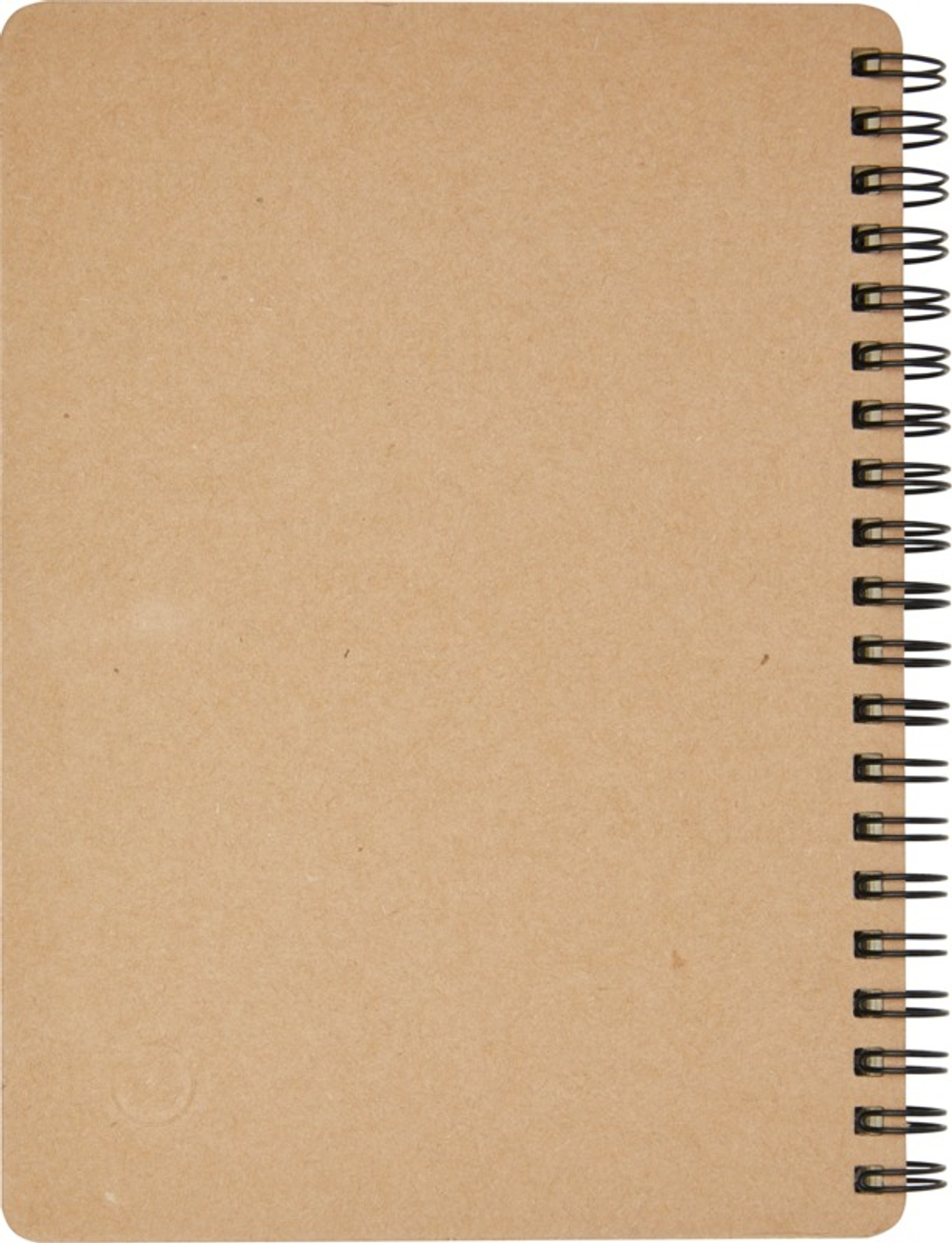 10626802_b1