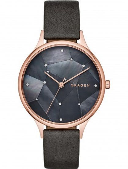 Наручные часы Skagen SKW2390